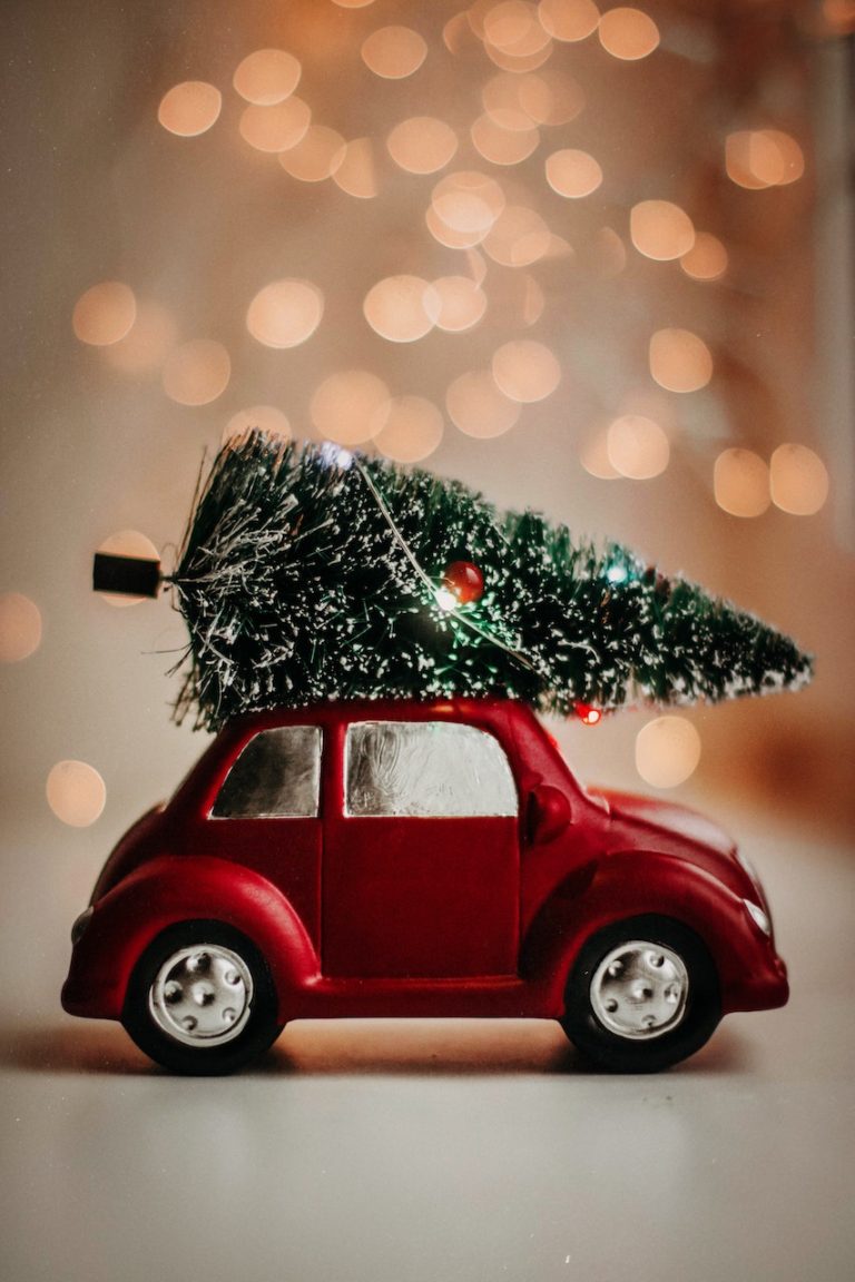 small christmas tree on toy car