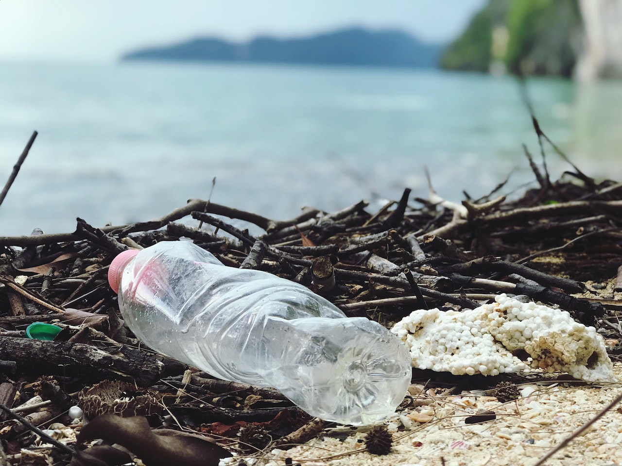 single-use plastic bottle washed up on beach