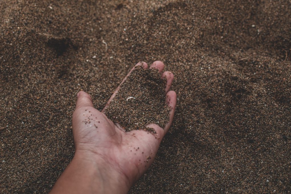 person holding soil in one hand